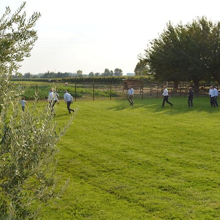 Agriturismo Al Casale 洛尼戈 外观 照片