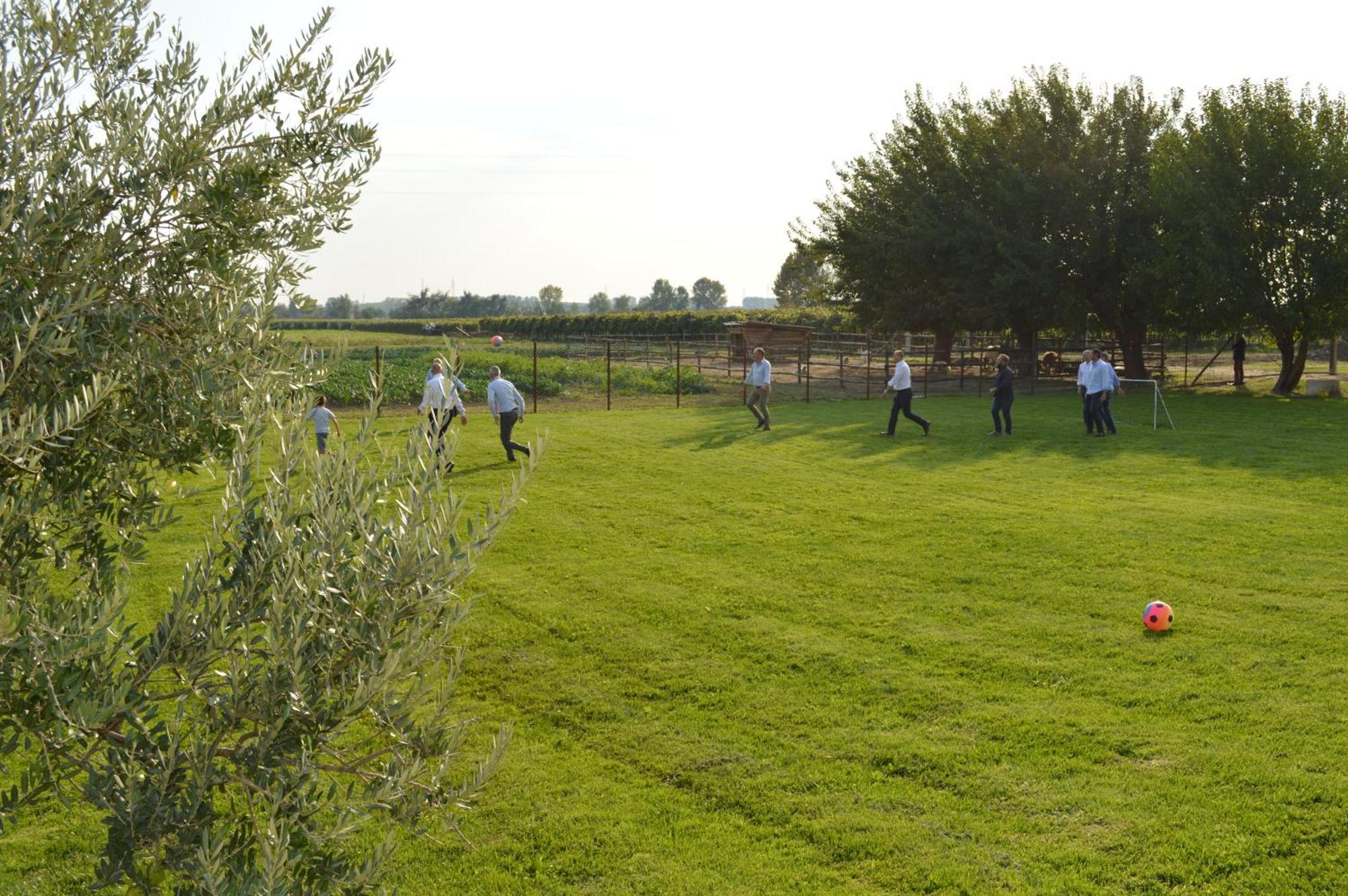 Agriturismo Al Casale 洛尼戈 外观 照片